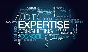 Consulting & Audit